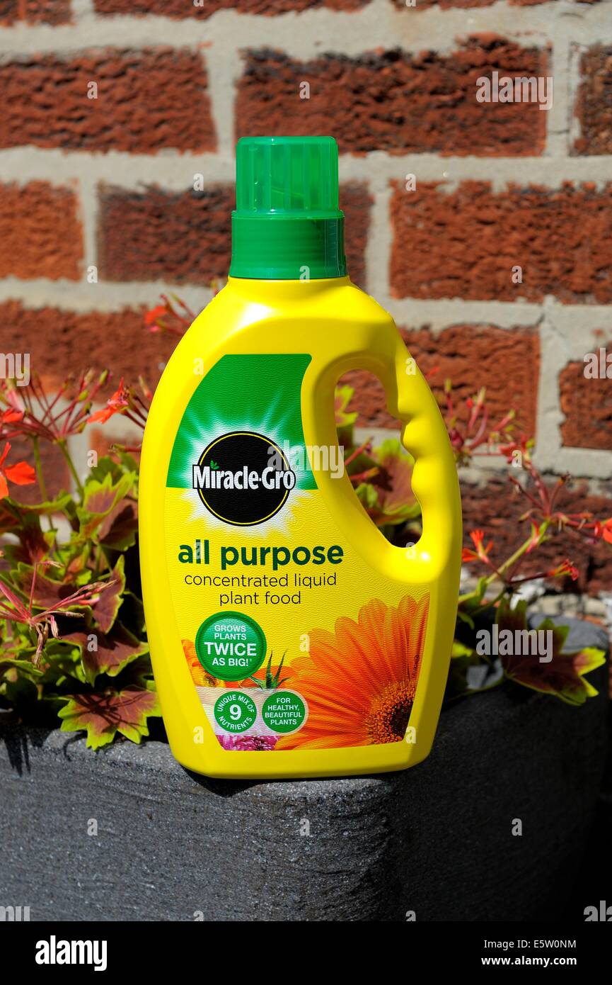 Miracle grow all purpose concentrated liquid plant food Stock Photo Alamy