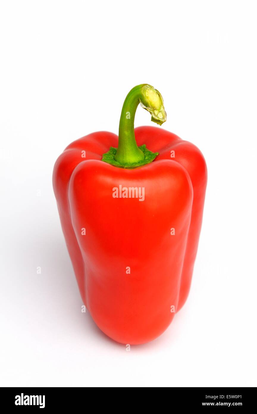 Red pepper on a white background Stock Photo - Alamy