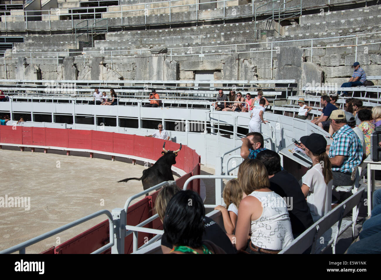Bull Racing Arles France Stock Photo - Alamy