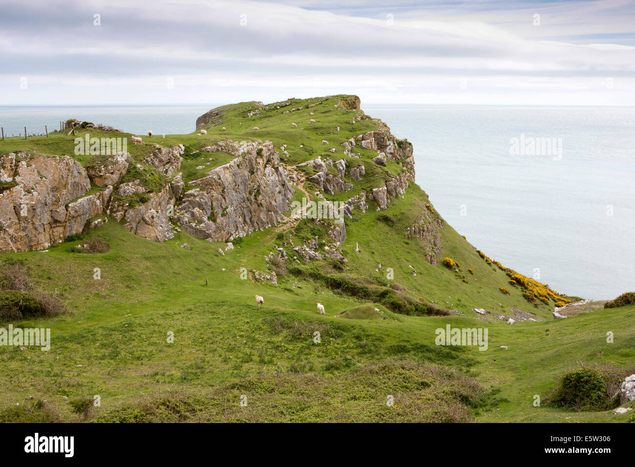 UK, Wales, Swansea, Gower, Rhossili, Middleton, cliffs at Mewslade Bay Stock Photo