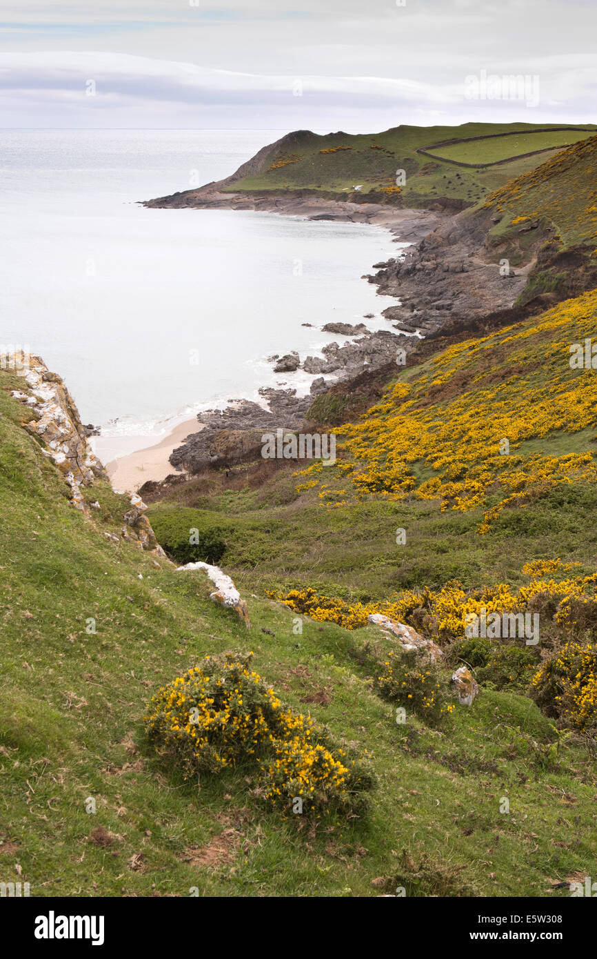 UK, Wales, Swansea, Gower, Rhossili, Middleton, Mewslade Bay Stock Photo