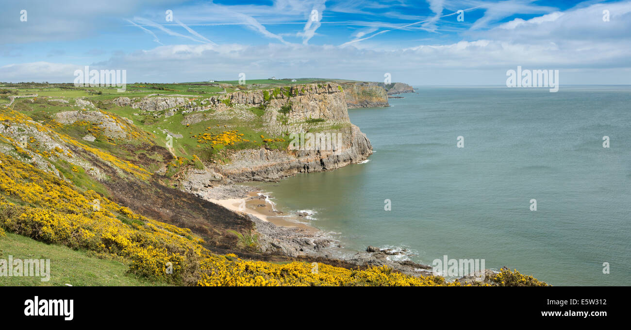 UK, Wales, Swansea, Gower, Rhossili, Swansea Bay Coast at Fall Bay, panoramic Stock Photo