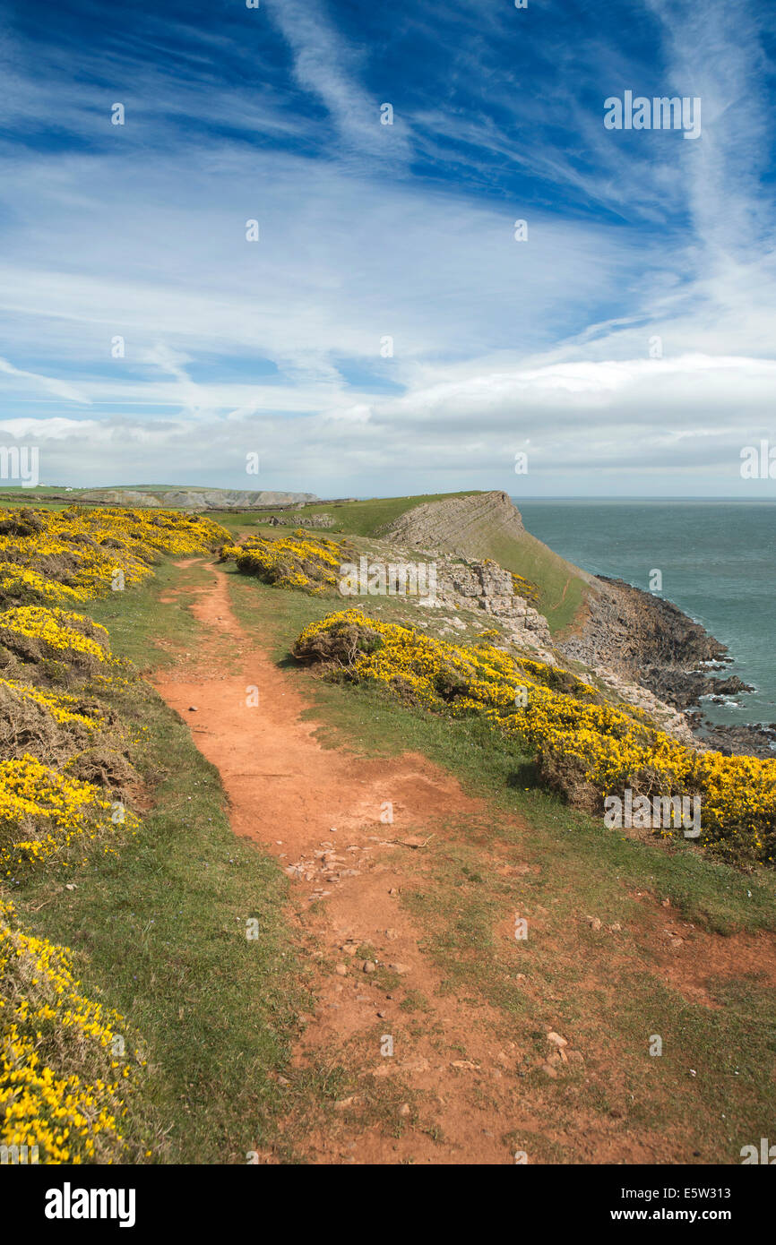 UK, Wales, Swansea, Gower, Rhossili, Coast path at Worms Head Stock Photo