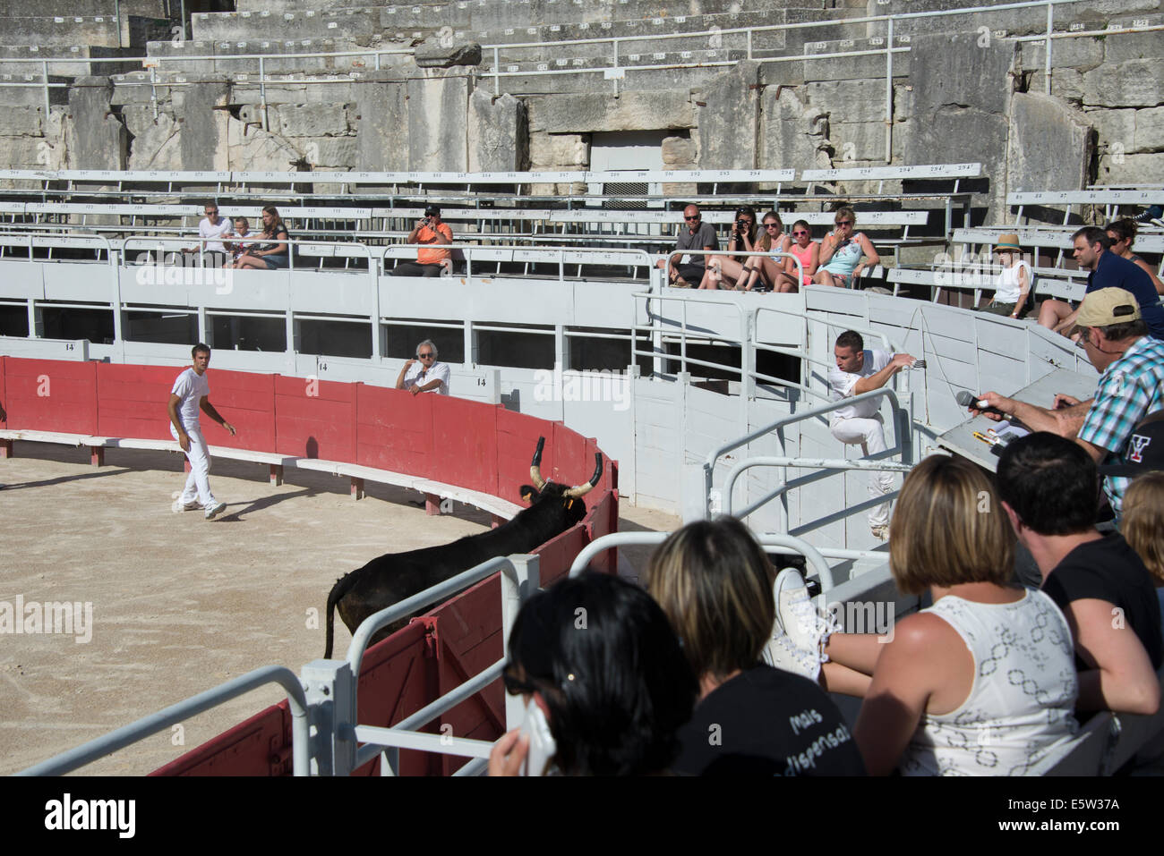 Bull Racing Arles France Stock Photo - Alamy