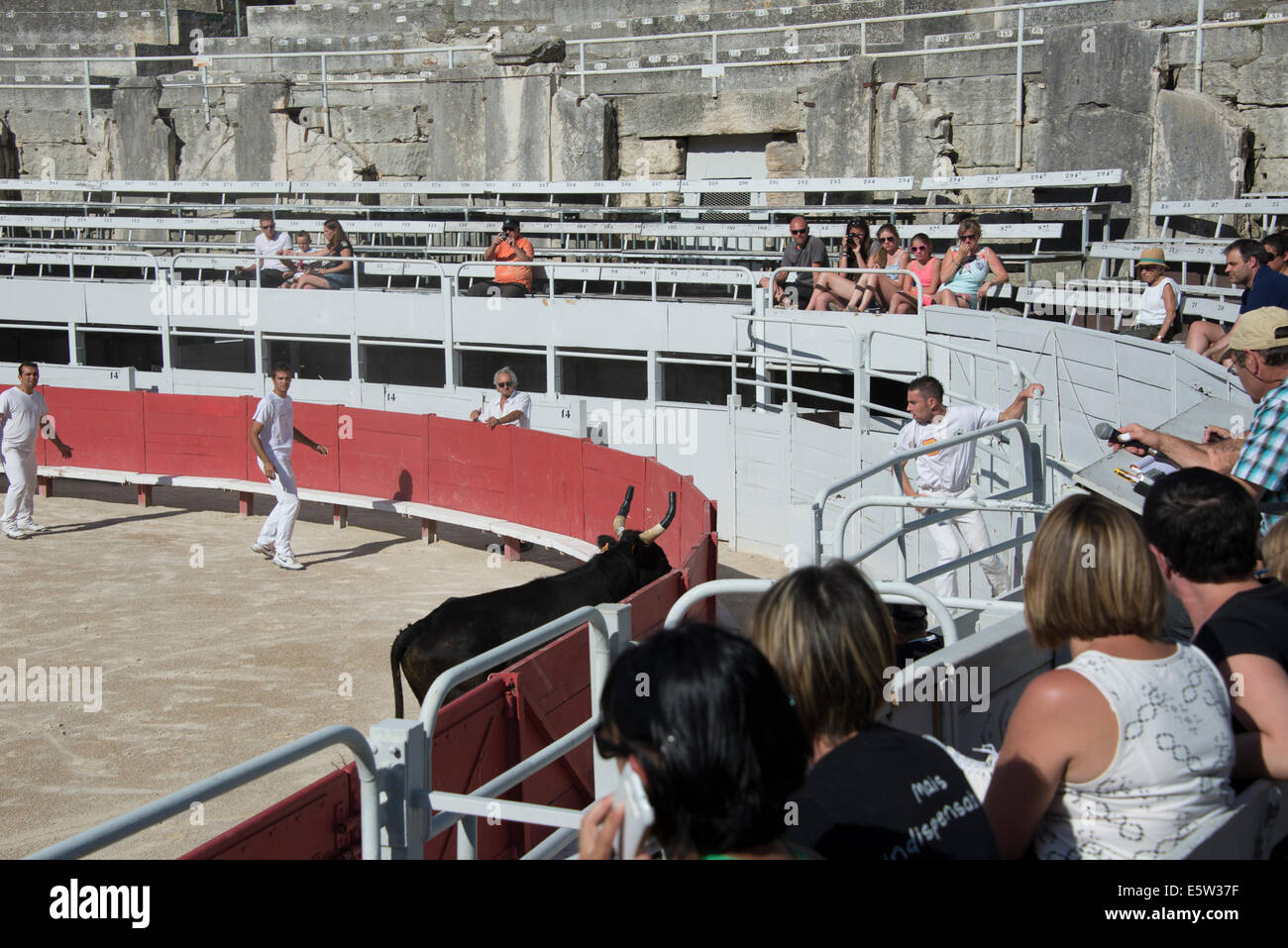 Bull Racing Arles France Stock Photo - Alamy