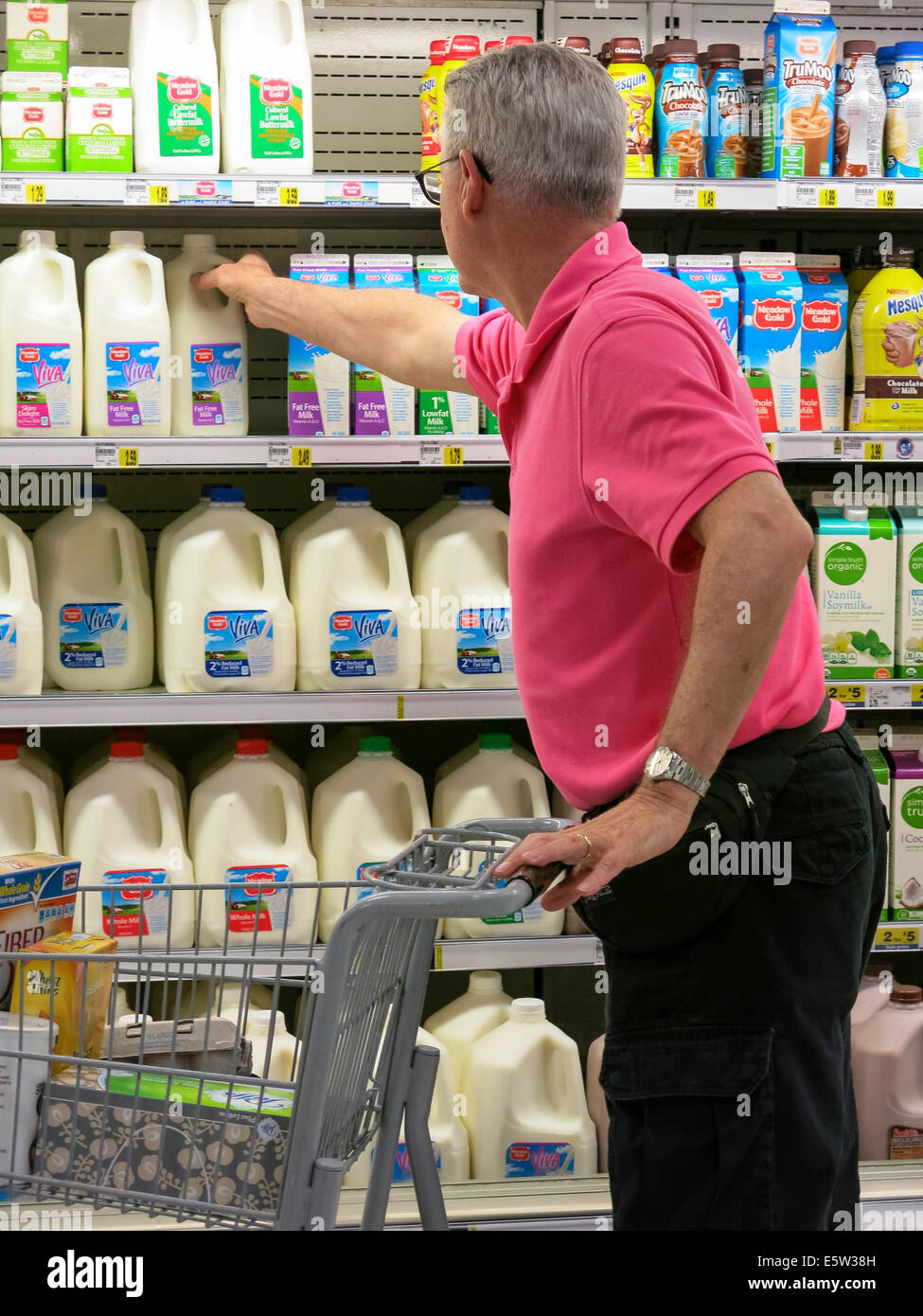 Mature Man Shops for Milk, Dairy Aisle, Smith's Grocery Store in Great Falls, Montana, USA Stock