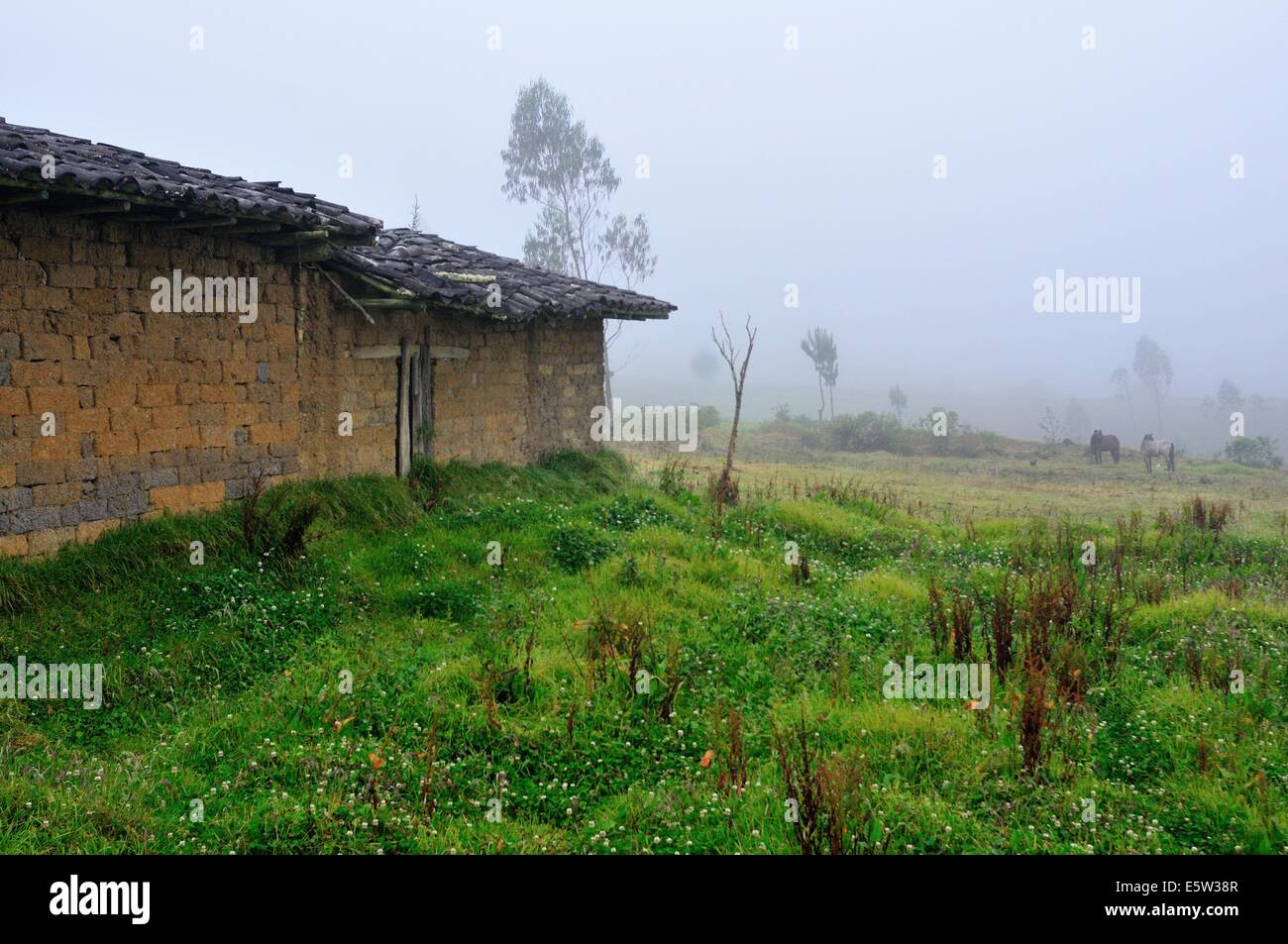Typical architectural farm houses hi-res stock photography and images ...