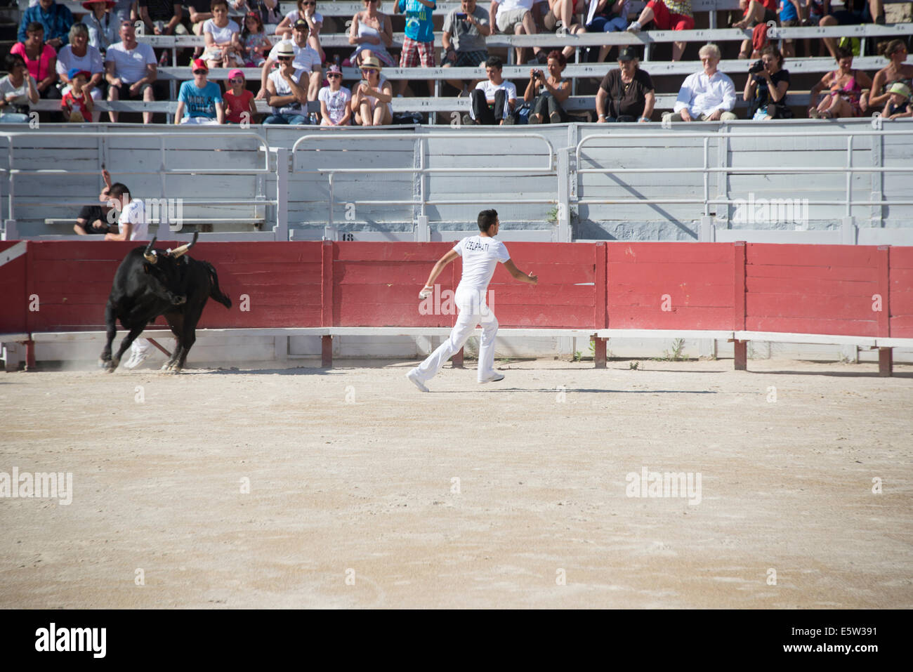 Bull Race, Arles, France Stock Photo - Alamy