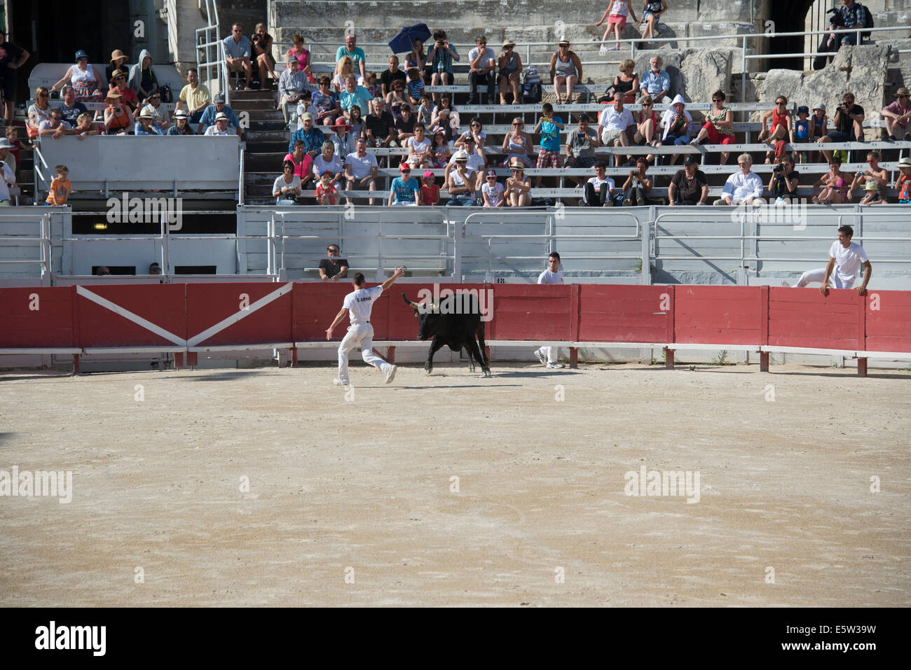 Bull Race, Arles, France Stock Photo - Alamy