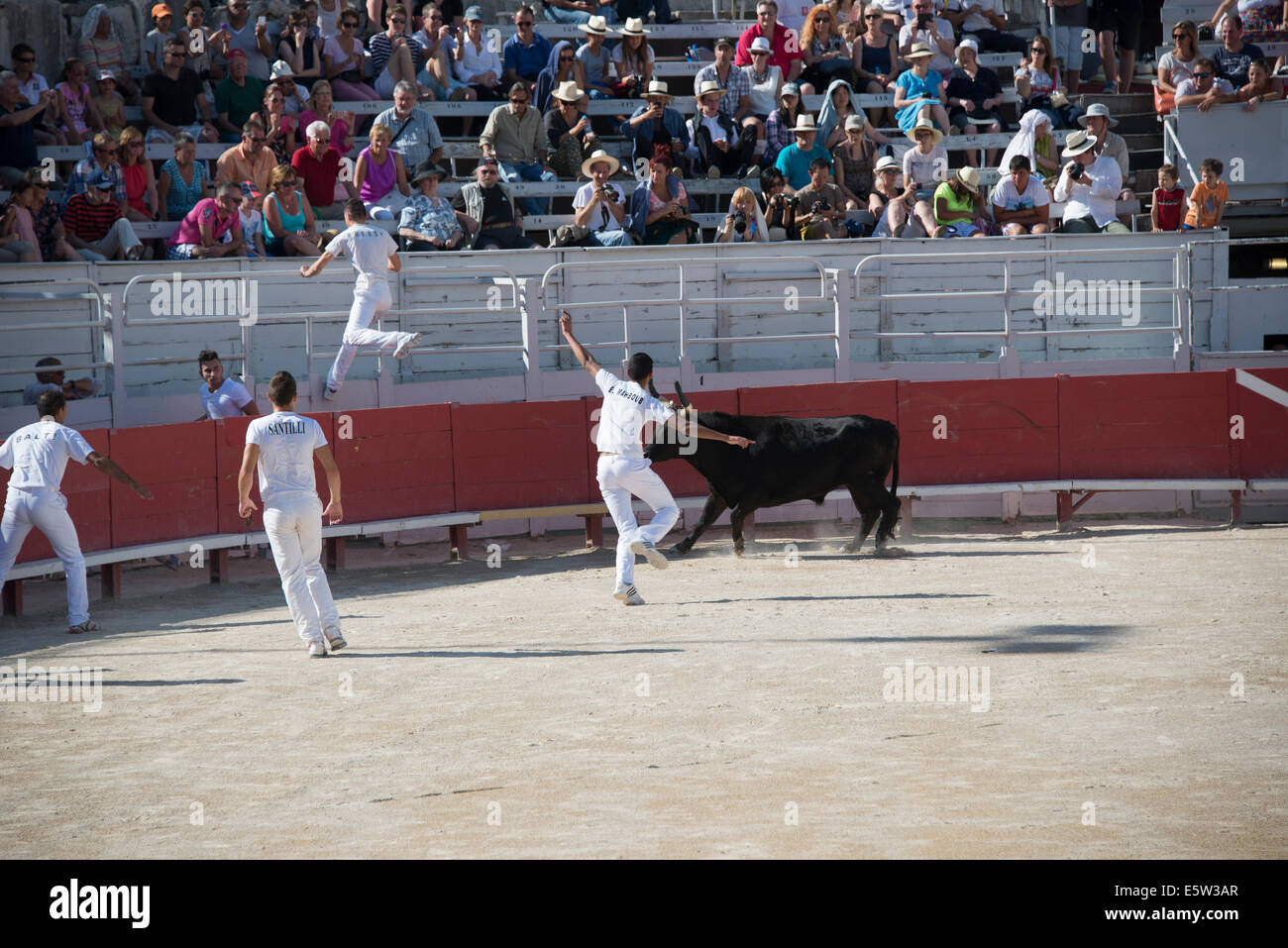 Bull Race, Arles, France Stock Photo - Alamy