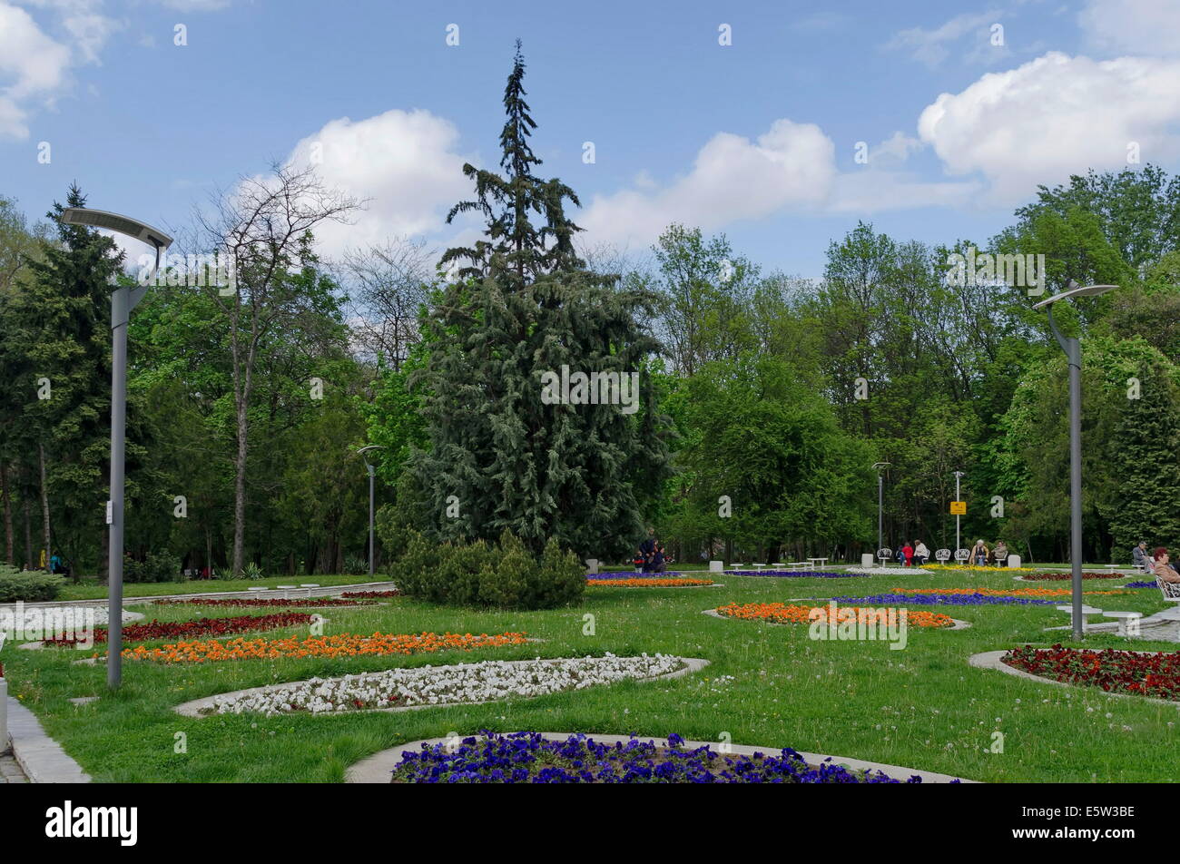Beautiful flower trees hi-res stock photography and images - Alamy