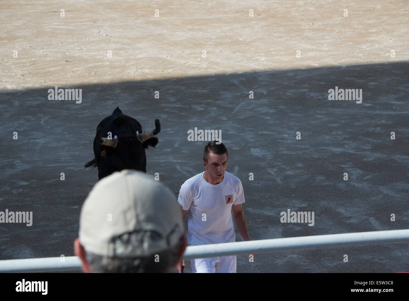 Bull Race, Arles, France Stock Photo - Alamy
