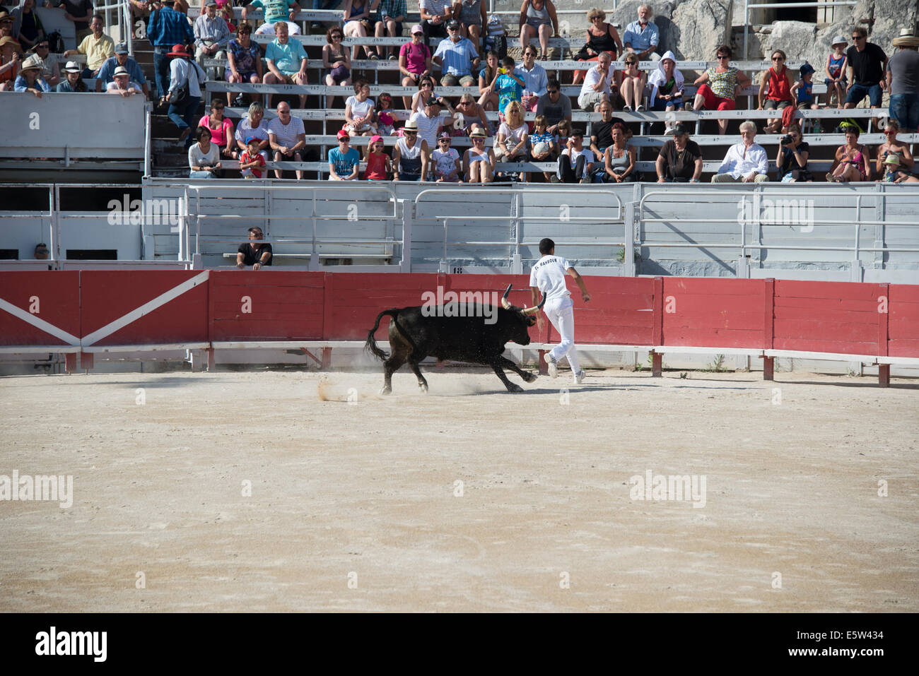Bull Race, Arles, France Stock Photo - Alamy
