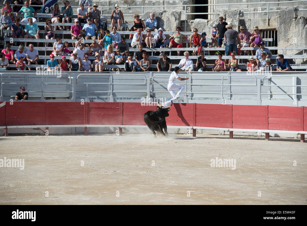Bull Race, Arles, France Stock Photo - Alamy