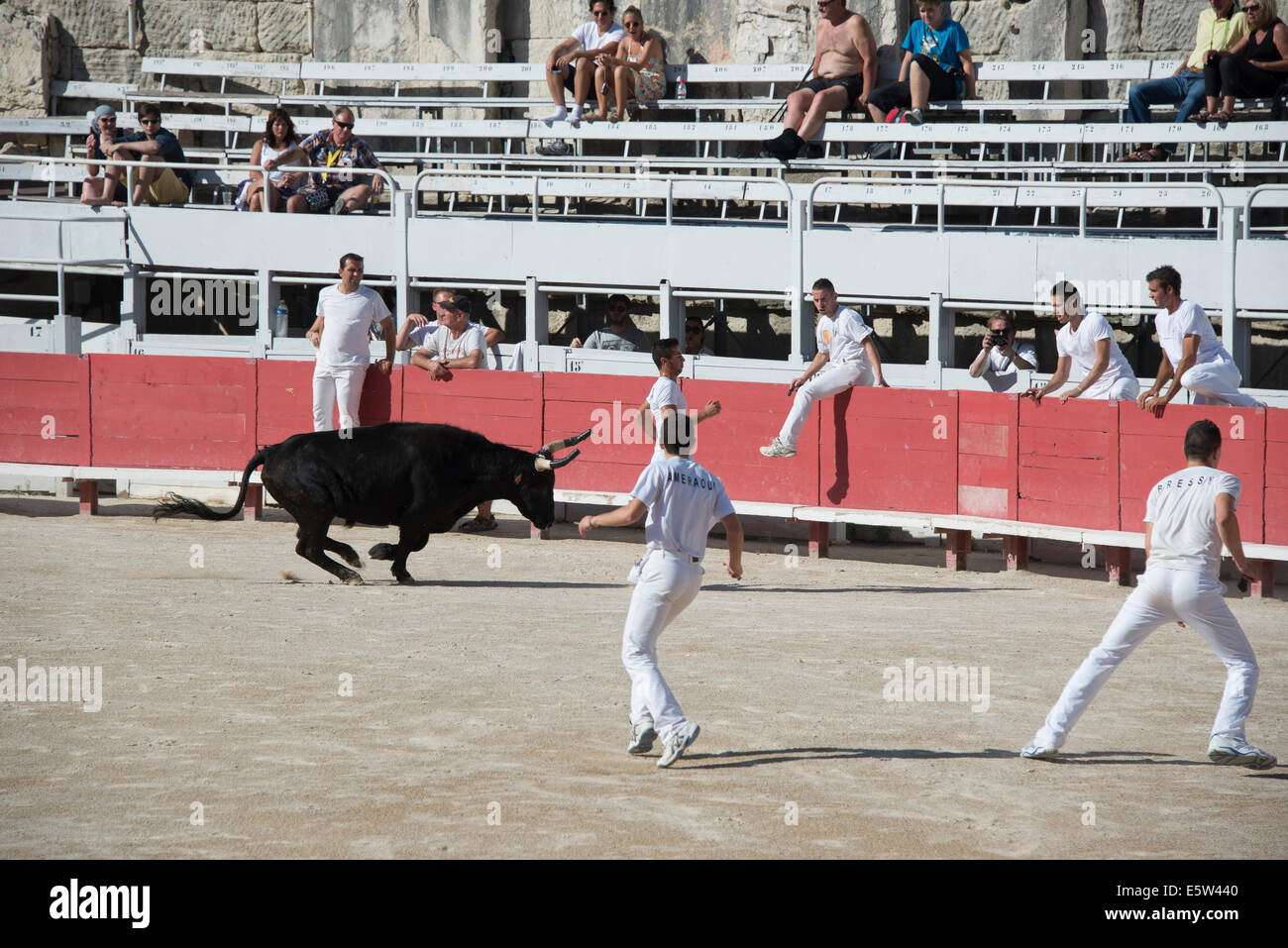 Bullrace hi-res stock photography and images - Alamy
