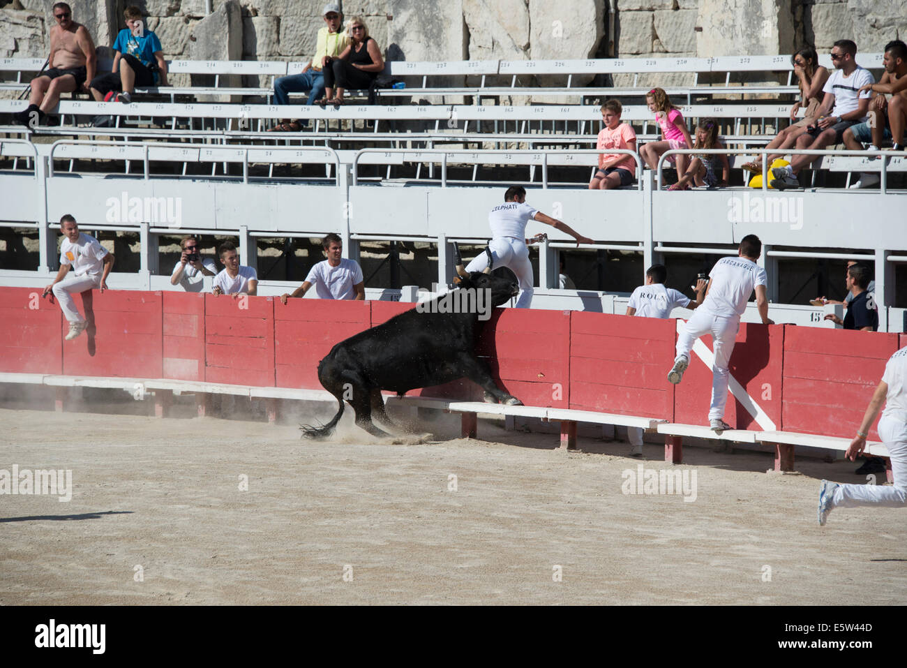 Bull Race, Arles, France Stock Photo - Alamy