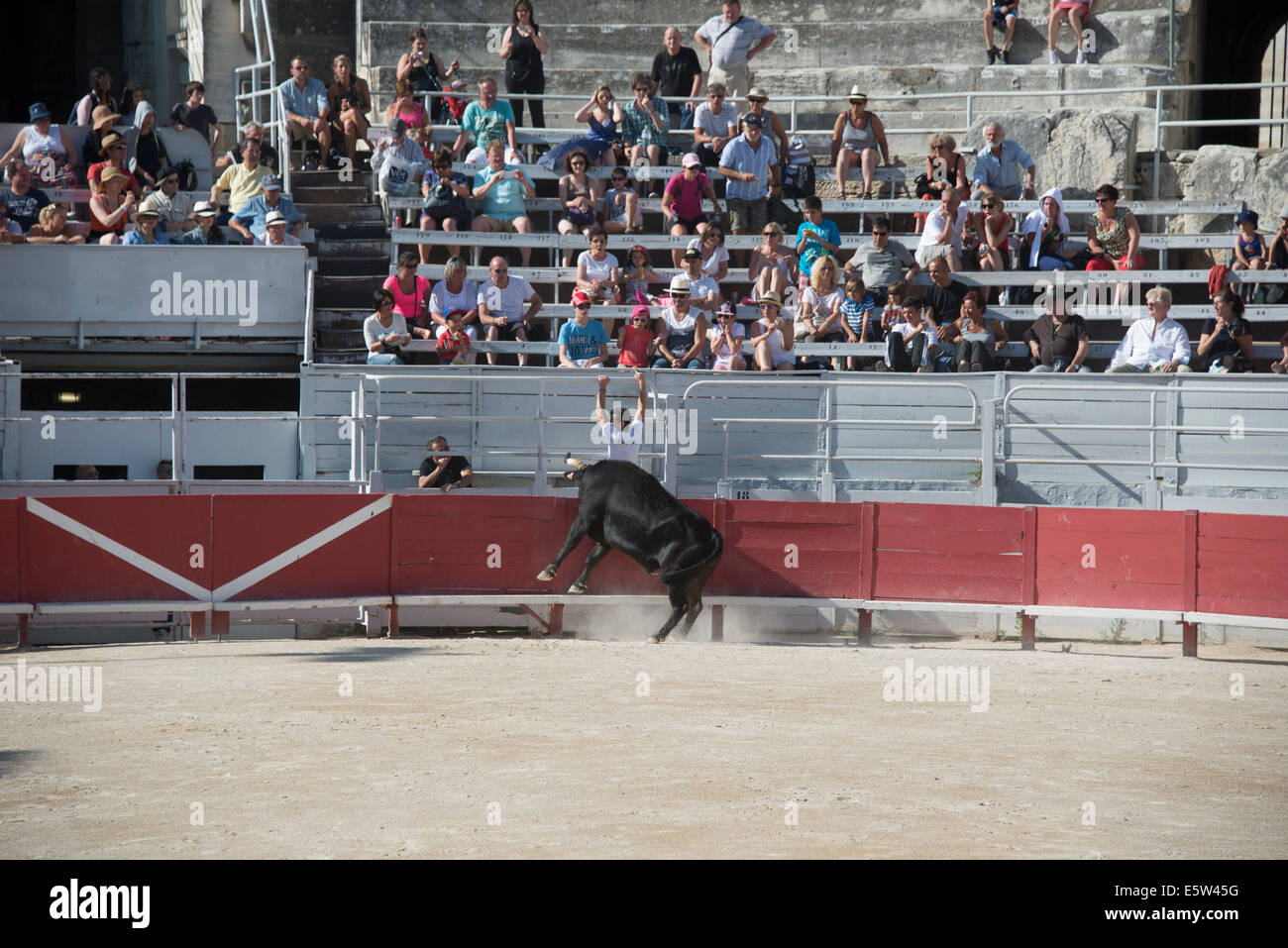 Bull Race, Arles, France Stock Photo - Alamy