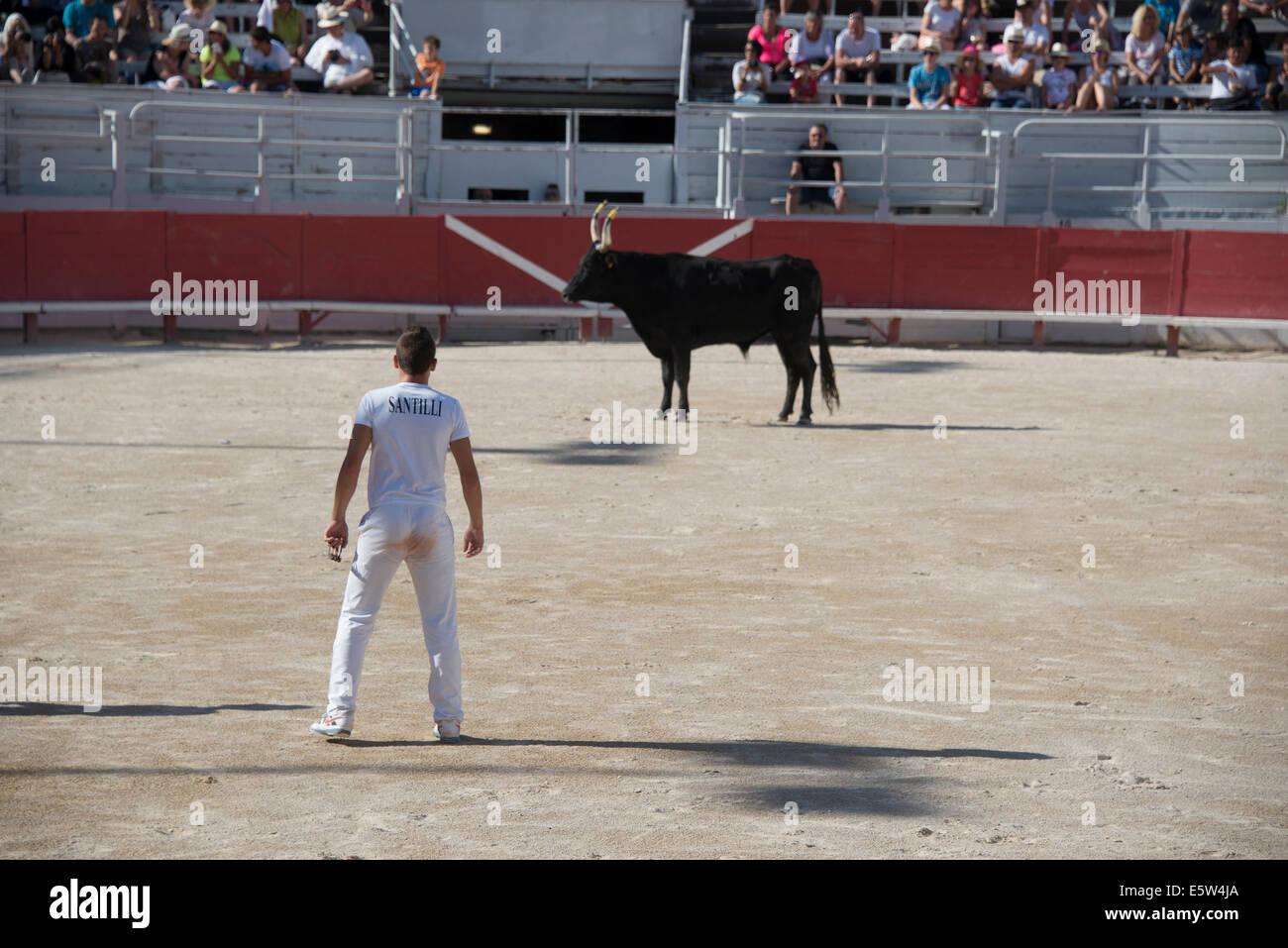 Bull Race, Arles, France Stock Photo - Alamy