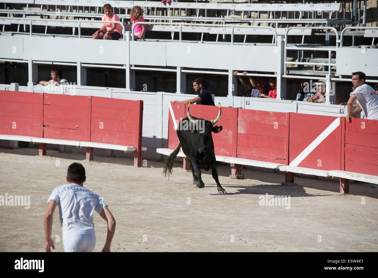 Bull Race, Arles, France Stock Photo - Alamy