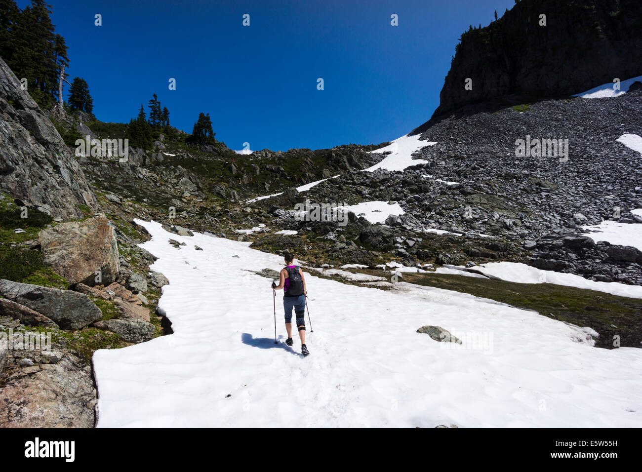 Chain Lakes Trail. Mt. BakerSnoqualmie National Forest, Washington