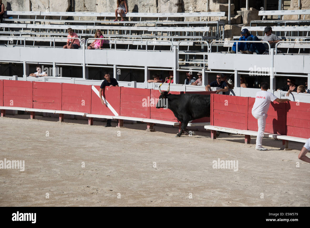 Bull Race, Arles, France Stock Photo - Alamy