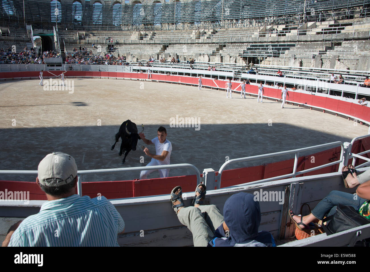 Bull Race, Arles, France Stock Photo - Alamy