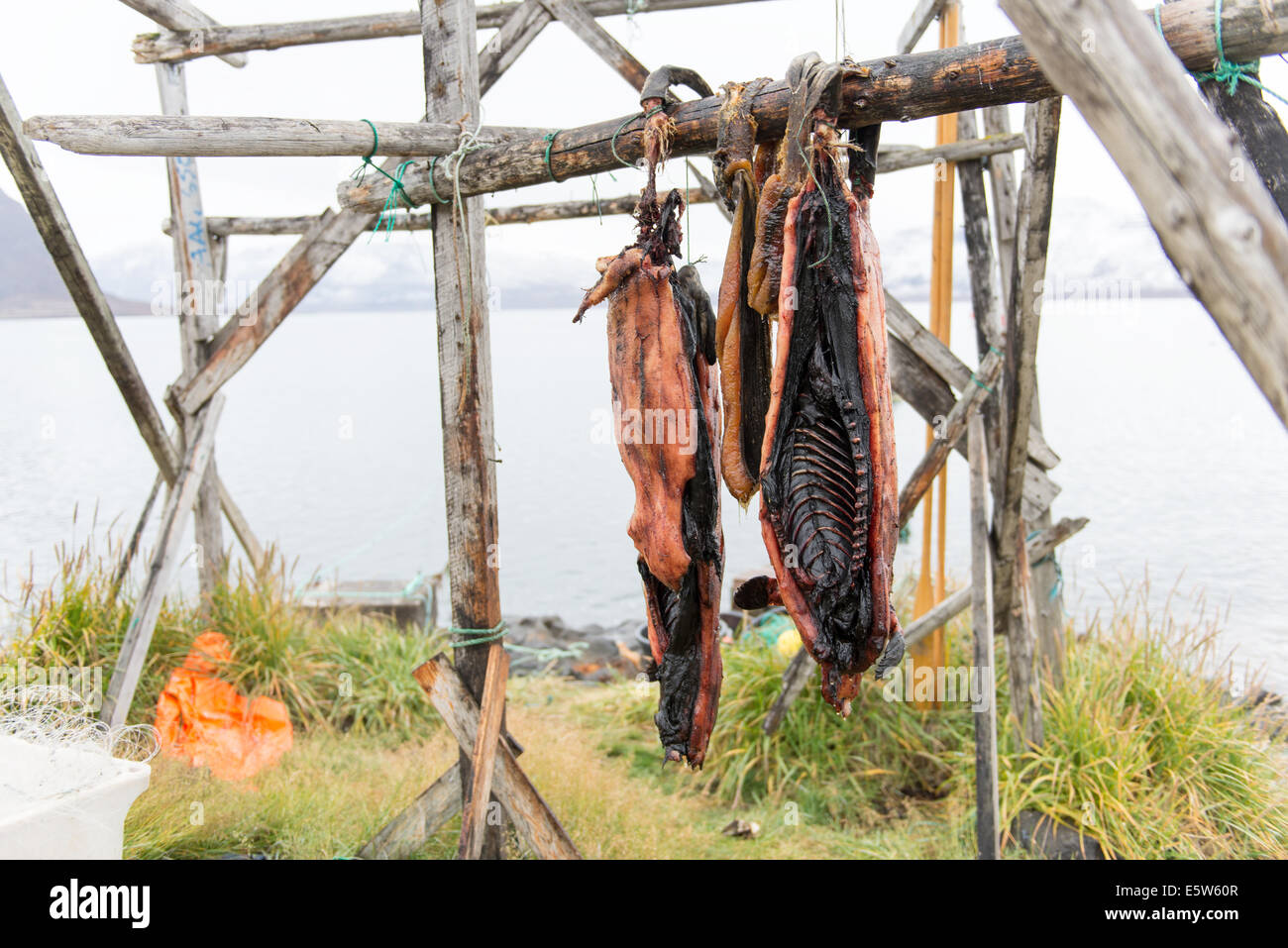 Seal bodies drying on wooden rack in Kangerluk, Greenland Stock Photo