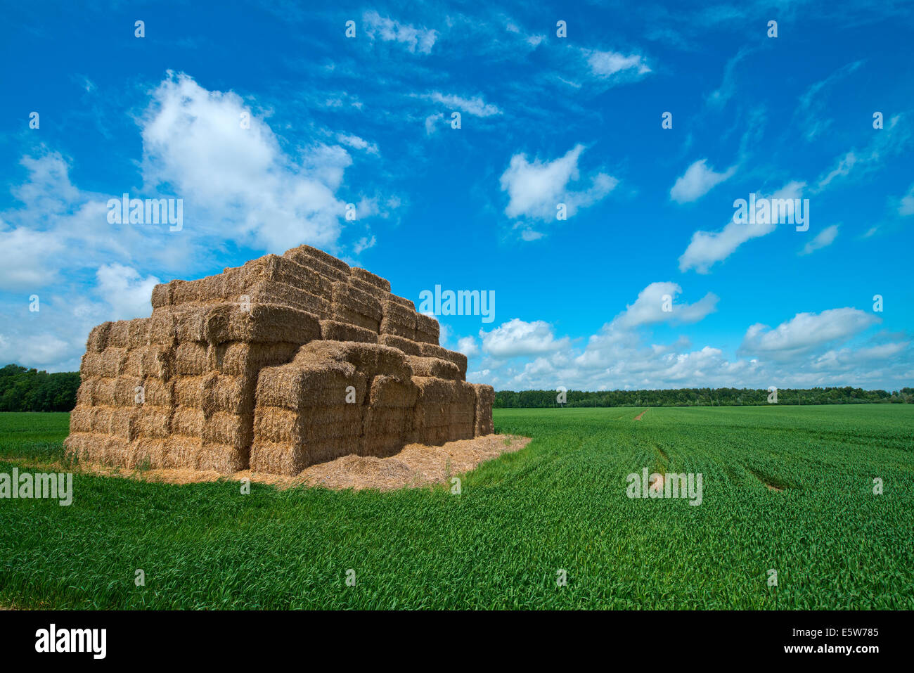 Bale of haystack; blue sky and green grass Stock Photo - Alamy