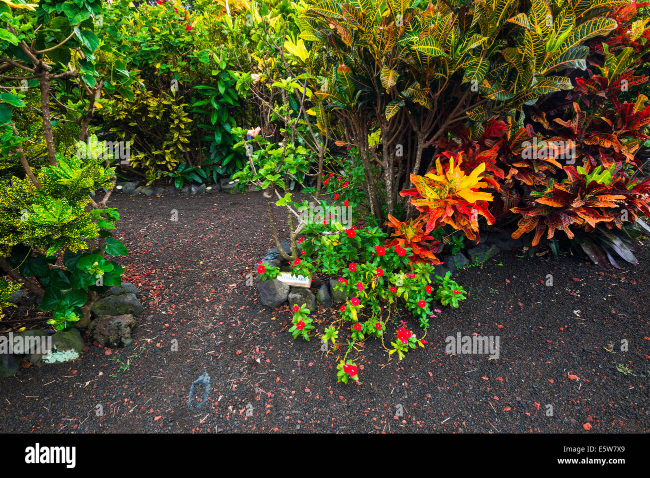 The Galaxy Garden, Paleaku Gardens Peace Sanctuary, Kona Coast, The Big