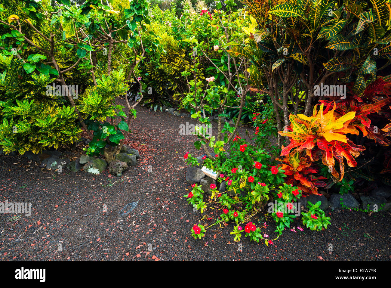 The Galaxy Garden, Paleaku Gardens Peace Sanctuary, Kona Coast, The Big Island, Hawaii USA Stock Photo