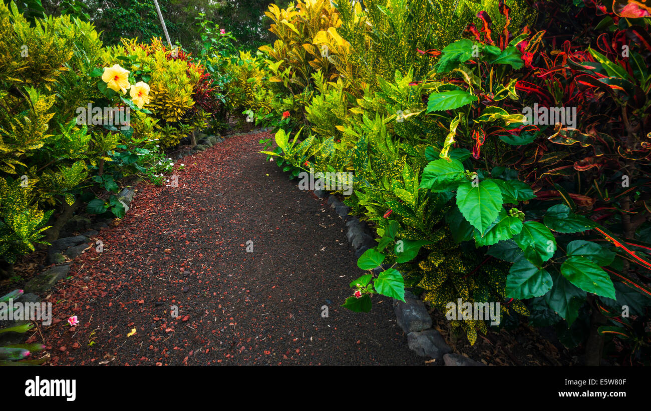 The Galaxy Garden, Paleaku Gardens Peace Sanctuary, Kona Coast, The Big