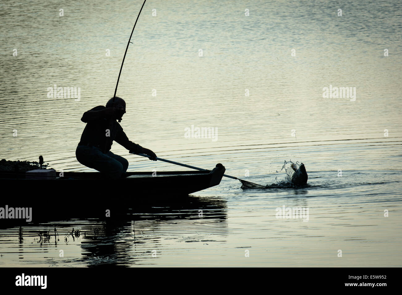 Fisherman In Boat Catches Big Fish On Twilight Lake Stock Photo