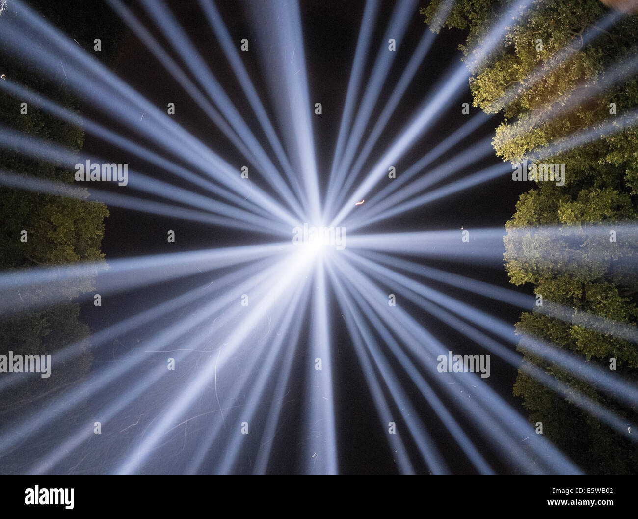 LONDON UK, 6th August 2014. Taken with a fisheye lens in the centre of the Spectra art installation in Westminster's Victoria Tower Gardens, this photo shows the individual beams of light merging to a single column. Also visible are many moths and other bugs brightly illuminated by the powerful lights. Spectra commemorates the centenary of Britain's involvement in the First World War. Credit:  Steve Bright/Alamy Live News Stock Photo