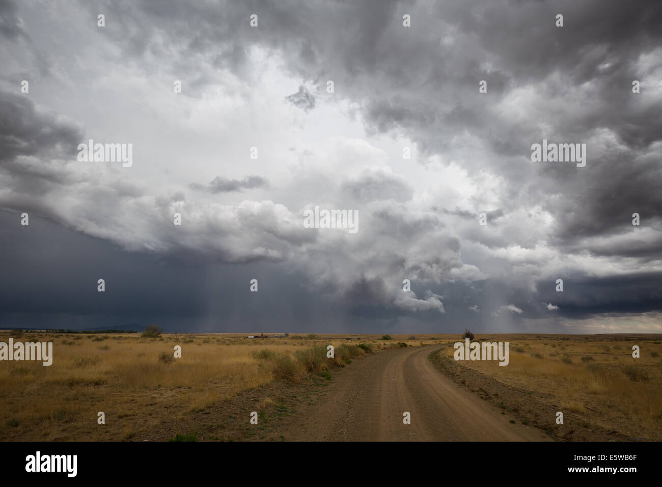 A severe thunderstorm organizes over rural Northeastern New Mexico with heavy rain shafts visible prompting flash flood warnings Stock Photo