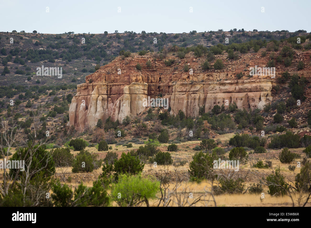 The beautiful arid and diverse desert landscape of New Mexico with mountains, hills, plains and 