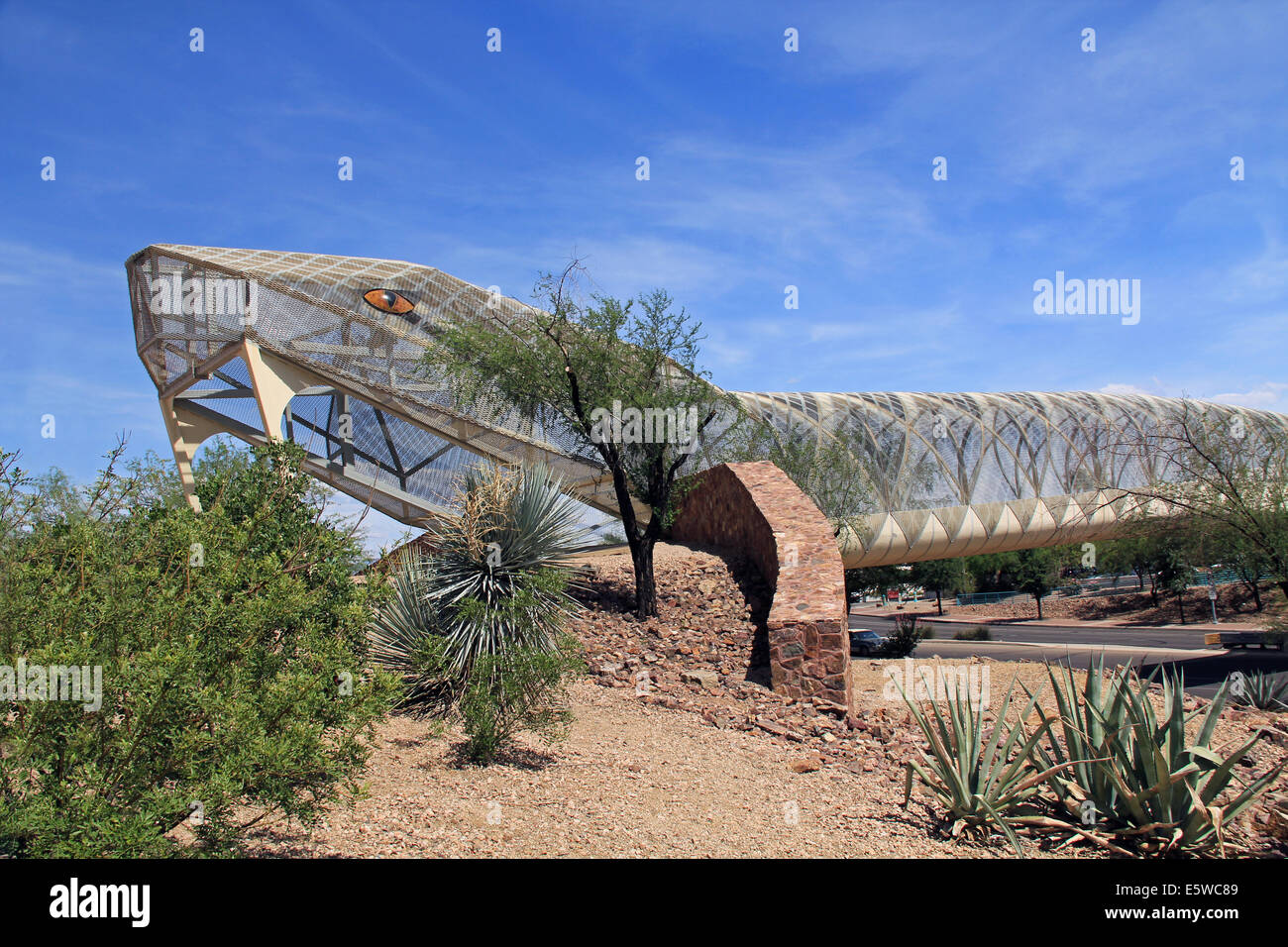 Rattlesnake Bridge in Tucson Arizona Stock Photo
