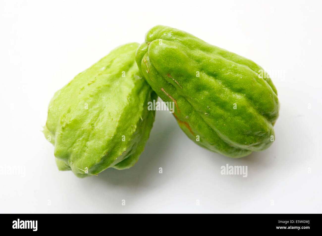 CHRISTOPHENE/CHRISTOPHINE/CHAYOTE/CHO CHO/MERLETON VEGETABLE PEAR Stock Photo