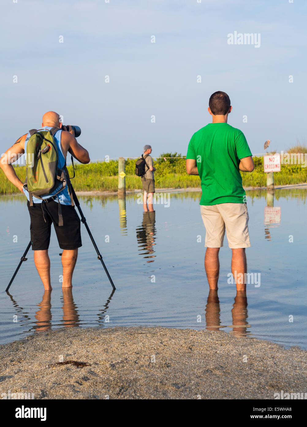 Bird watchers taking photos of sea bird protection sign on Fort de Soto county park beach in Florida, USA Stock Photo