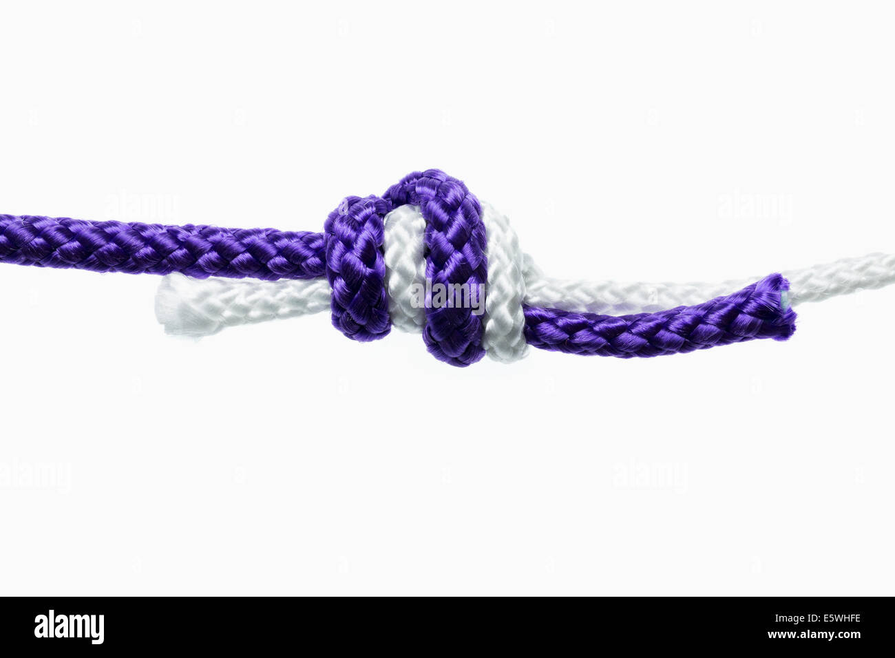 Double Surgeons Knot, a fisherman's knot used to tie different sized ropes together Stock Photo