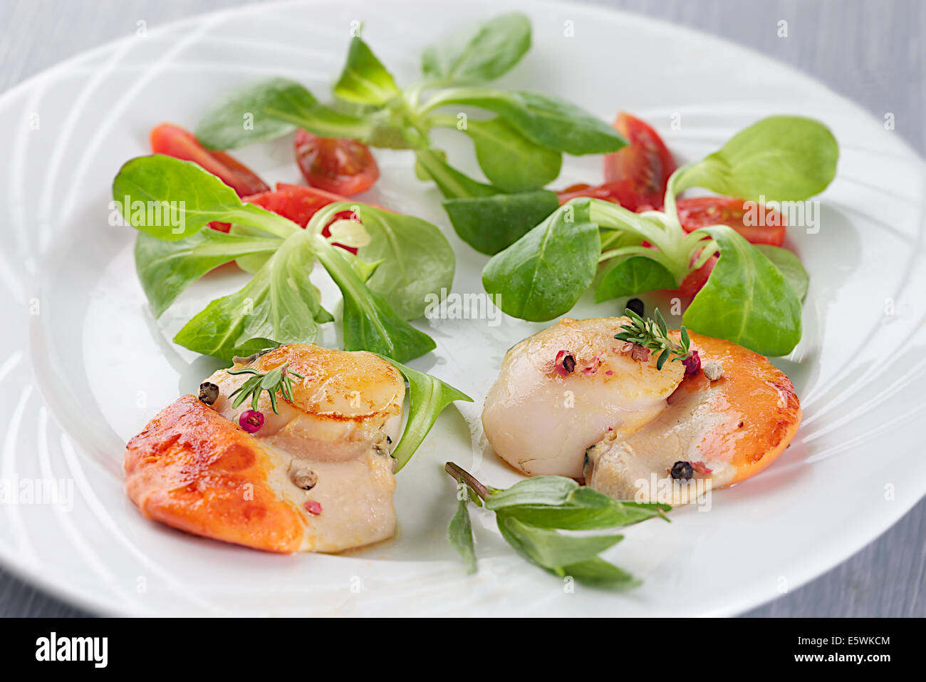 Great scallop Stock Photo