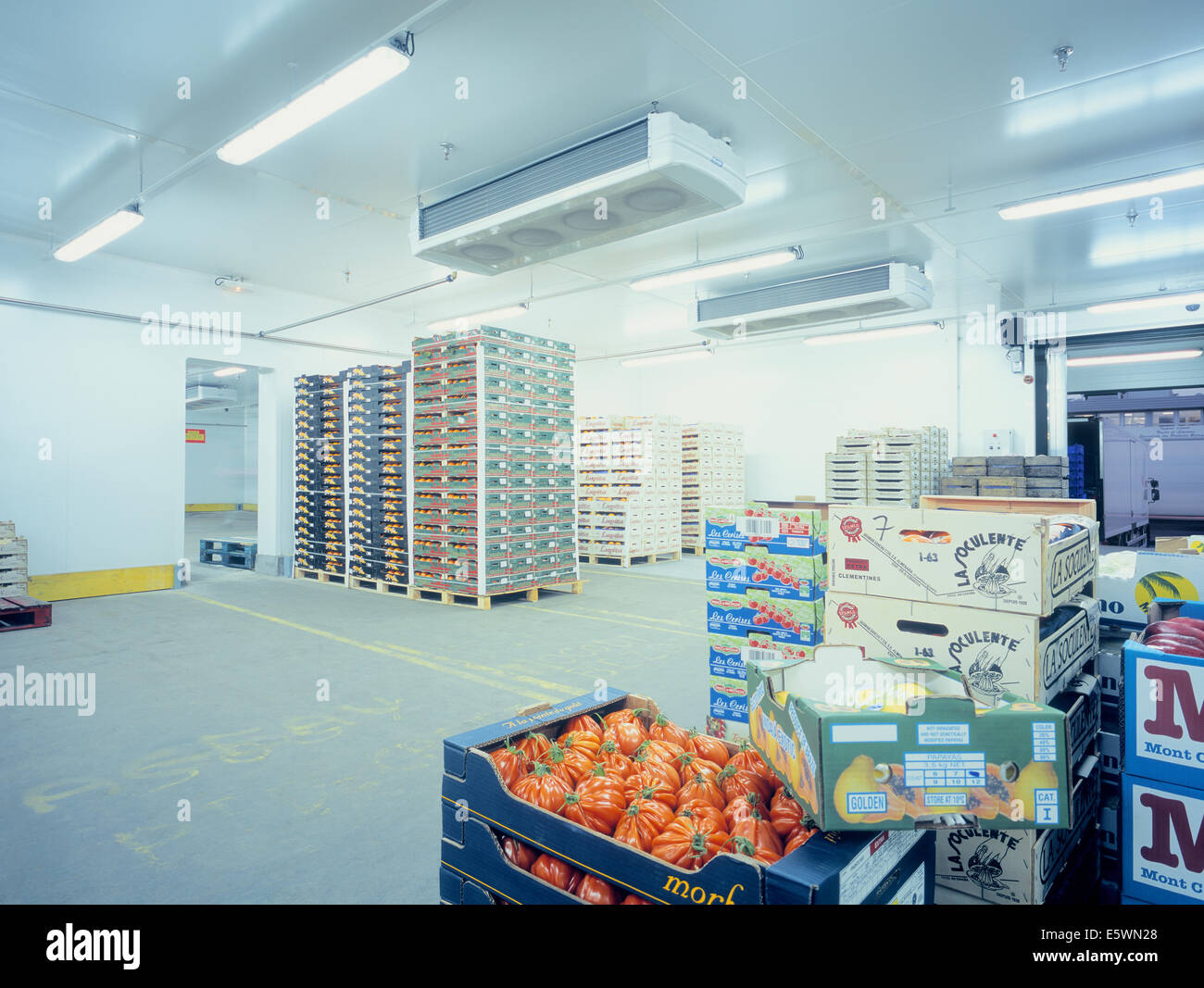 Vegetables ready for shipping at Rungis wholesale market, Rungis