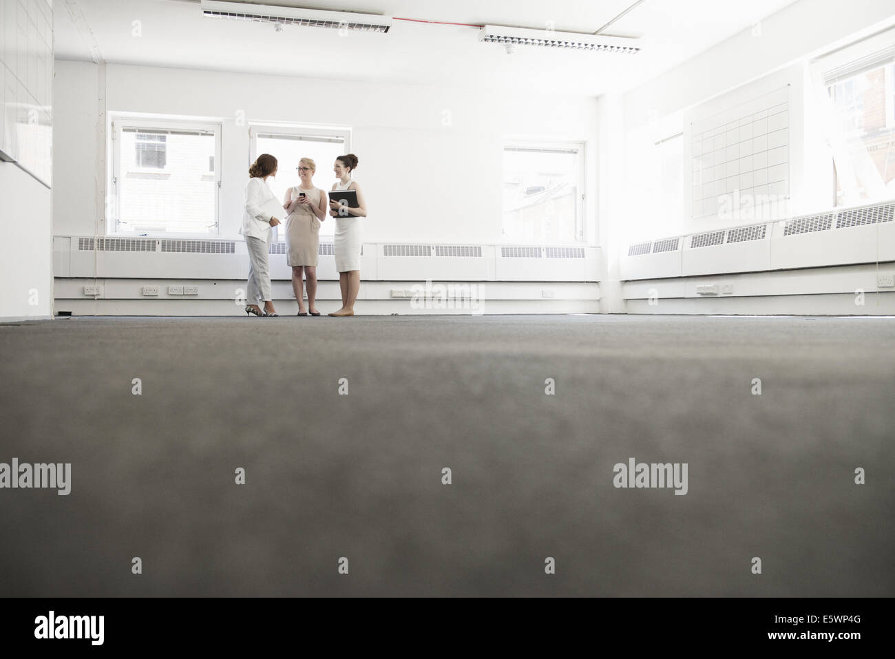 Three young businesswomen planning in empty office Stock Photo - Alamy
