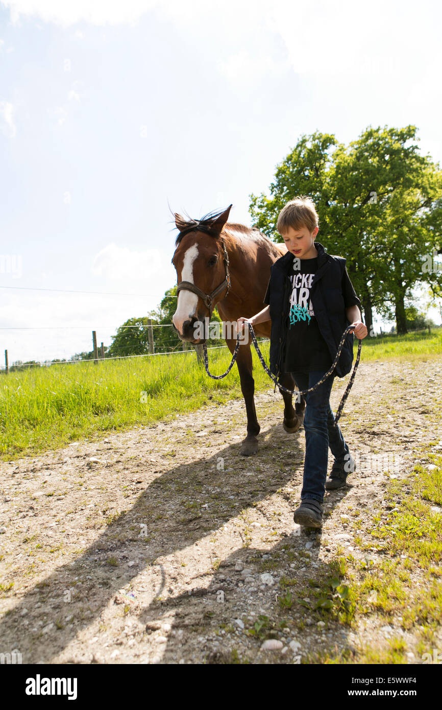 Boy leading horse along dirt track Stock Photo