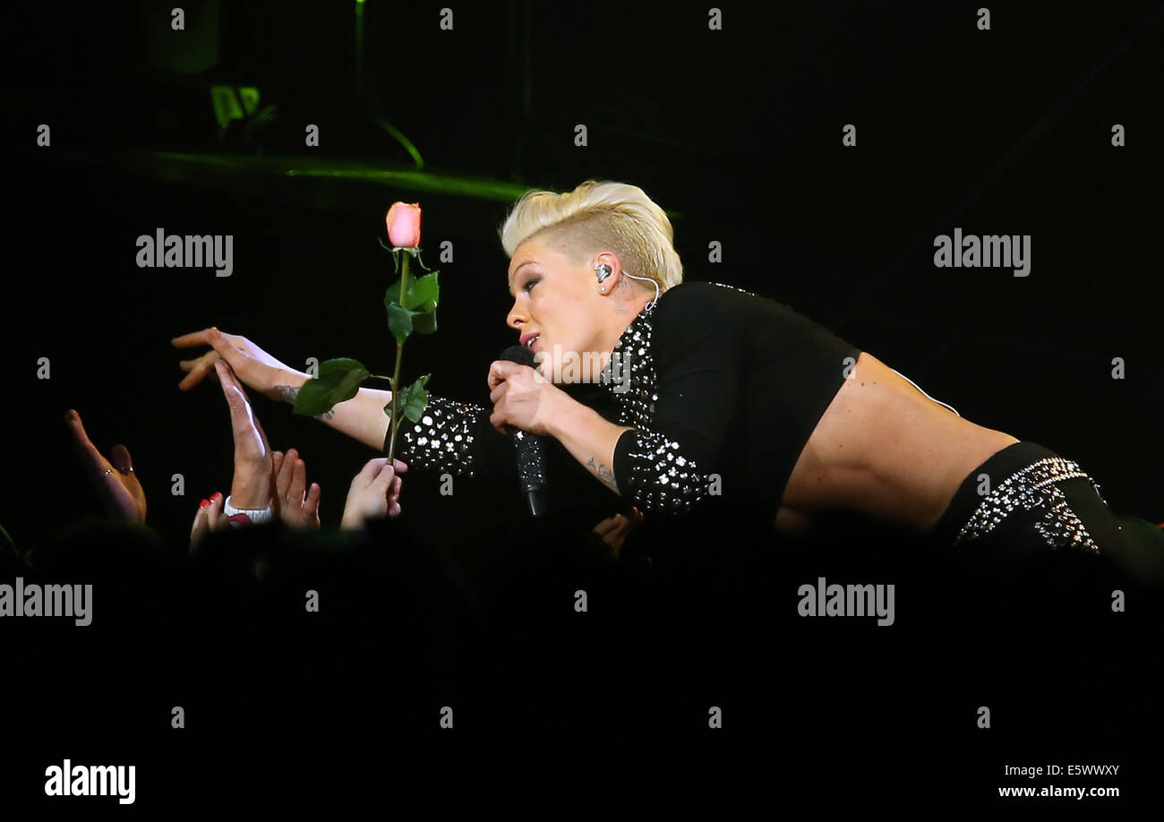 Pink Performs at MGM Grand Garden Arena Las Vegas Featuring: Pink Where