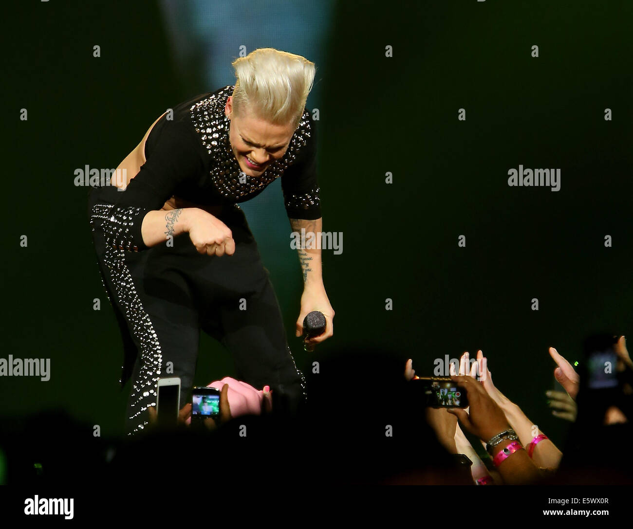 Pink Performs at MGM Grand Garden Arena Las Vegas Featuring: Pink Where ...