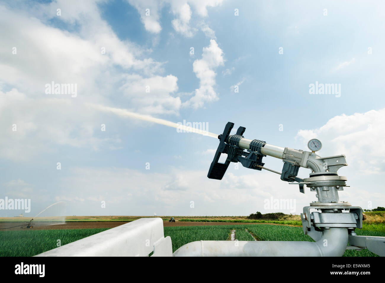 Close up of irrigation spray on field plant crop due to prolonged