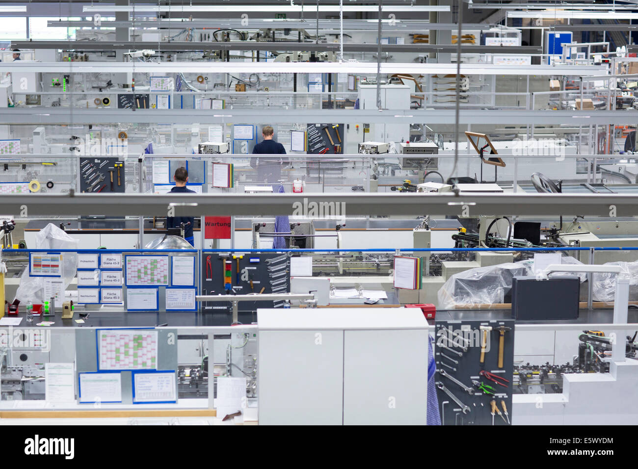 Two male workers in paper packaging factory Stock Photo - Alamy
