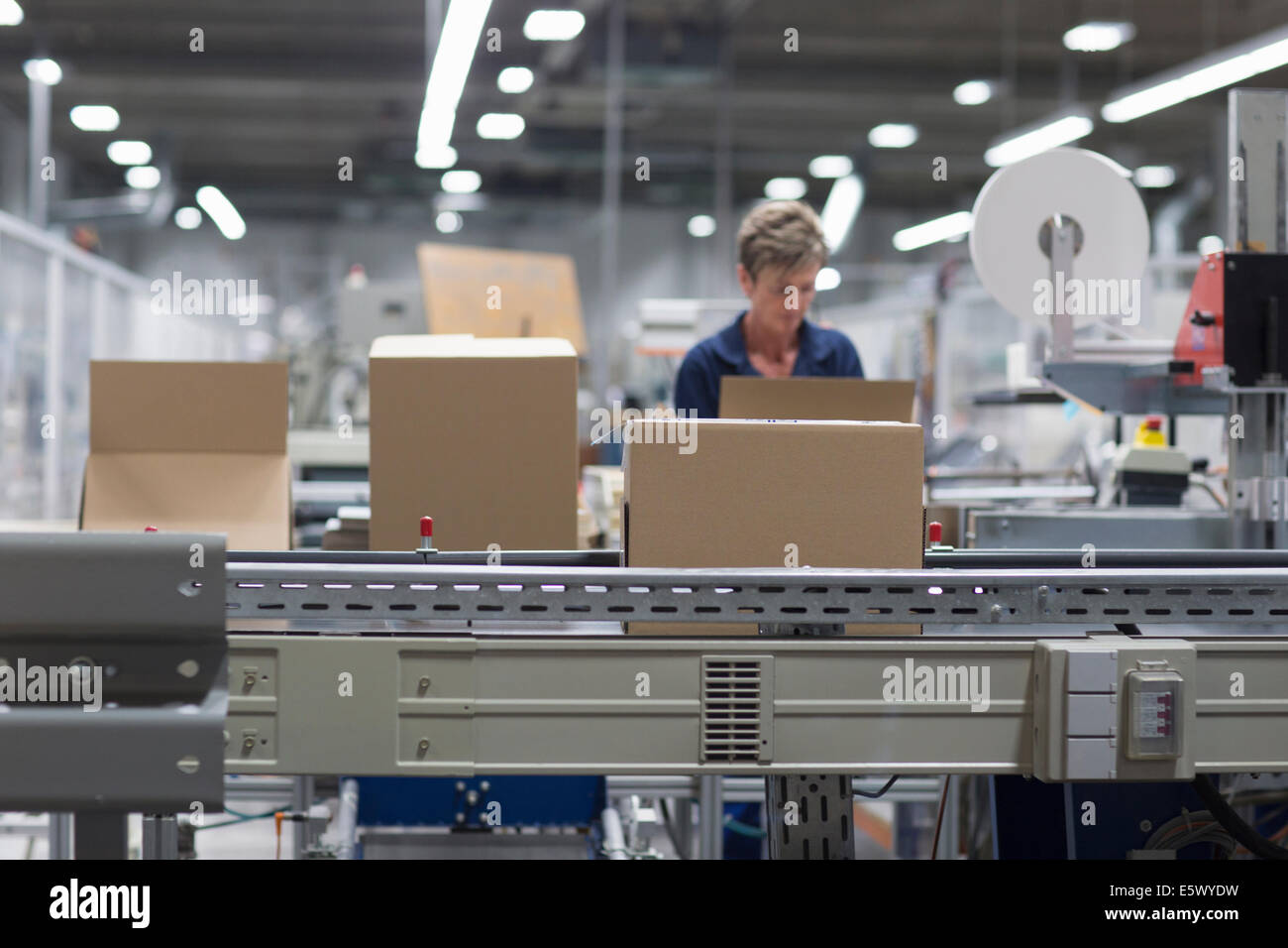 Mature woman working in paper packaging factory Stock Photo Alamy
