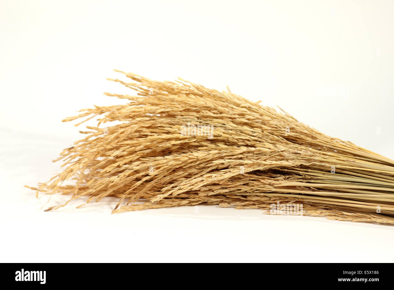 Wheat and wheat ears on burlap closeup. Stock Photo