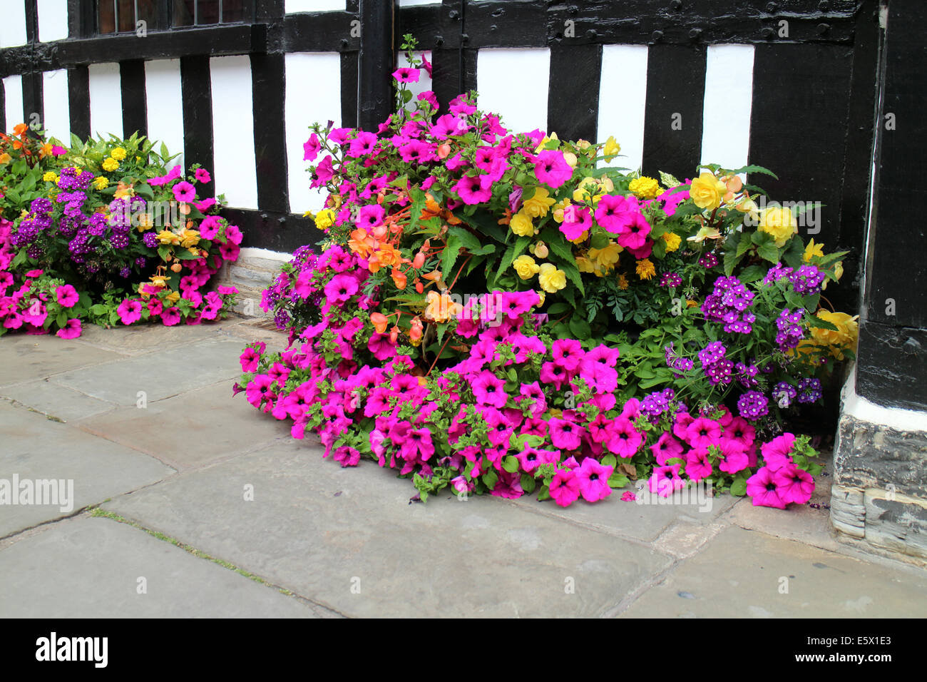 Summer flowers, Stratford-upon-Avon, UK Stock Photo